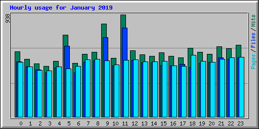 Hourly usage for January 2019